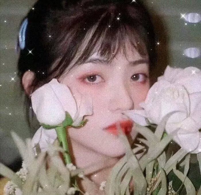 费雪小姐电影版